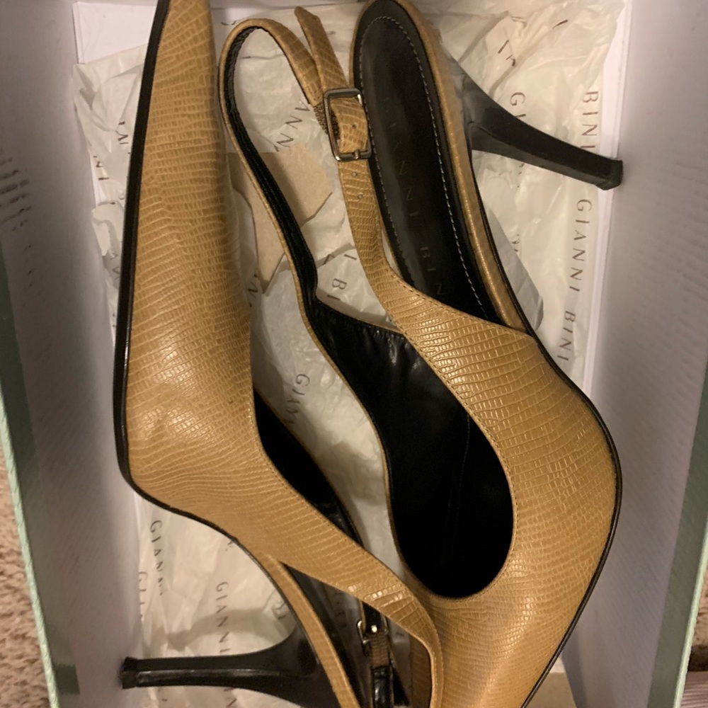 gianni bini shoes zappos